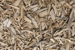 biomass boilers Woodhorn